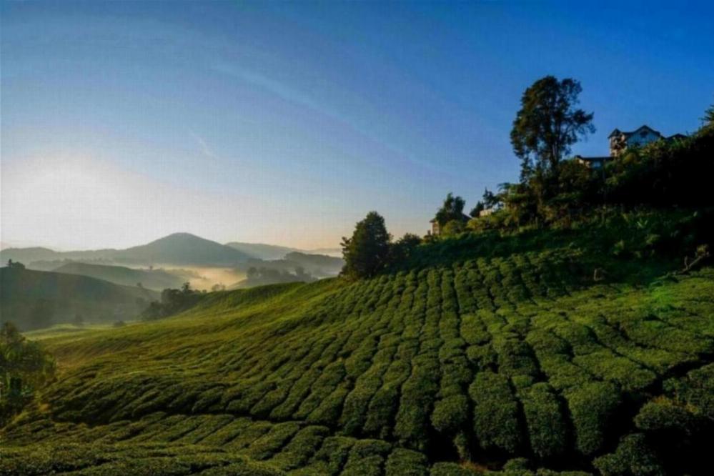 Nature & Eco-Living in malaysia 